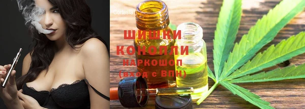 первитин Козельск