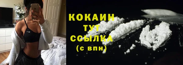 прущие крисы Козловка