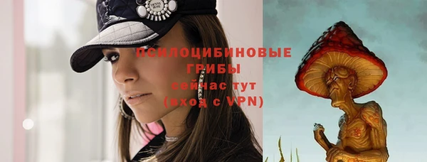 первитин Козельск