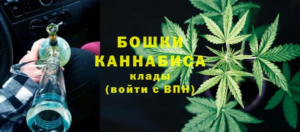 прущие крисы Козловка