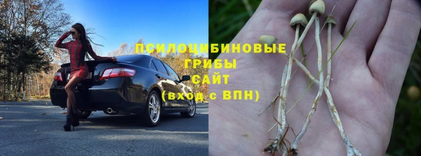 амф Кодинск